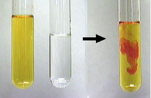 Chemistry fun